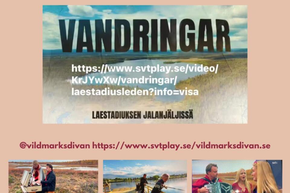 Kopia av Kopia av BR gränssnitt SIKNÄS - 5
